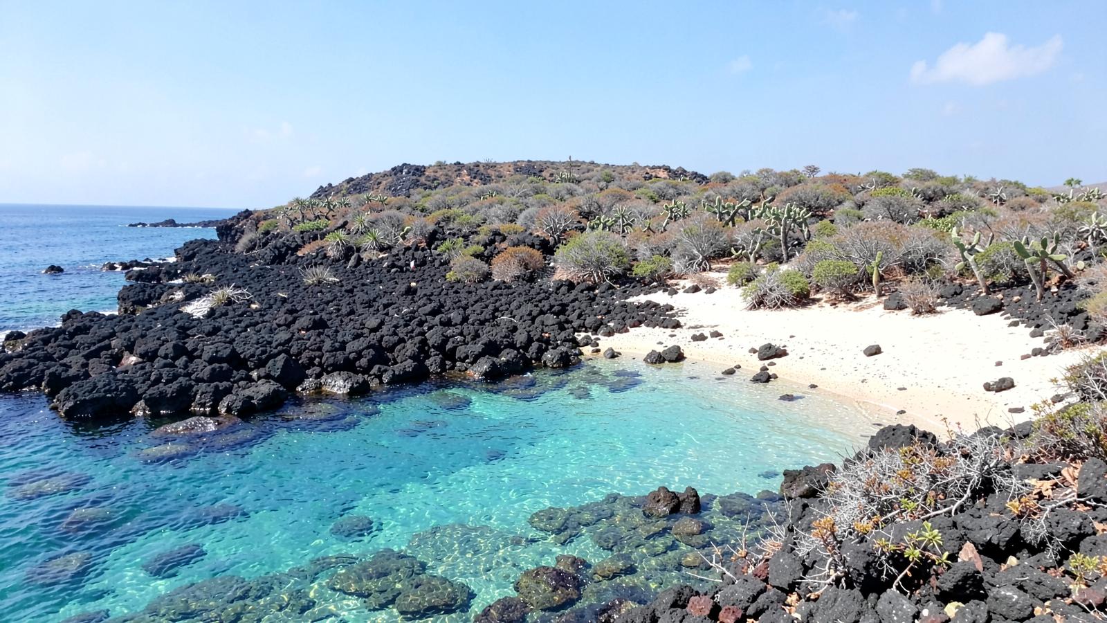 An equatorial volcanic shoreline of black lava rock and a small pale sand cove with clear turquoise water