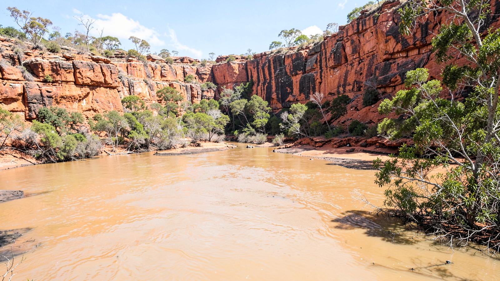 A tropical tidal river between red sandstone cliffs with wide muddy water and exposed banks at low tide